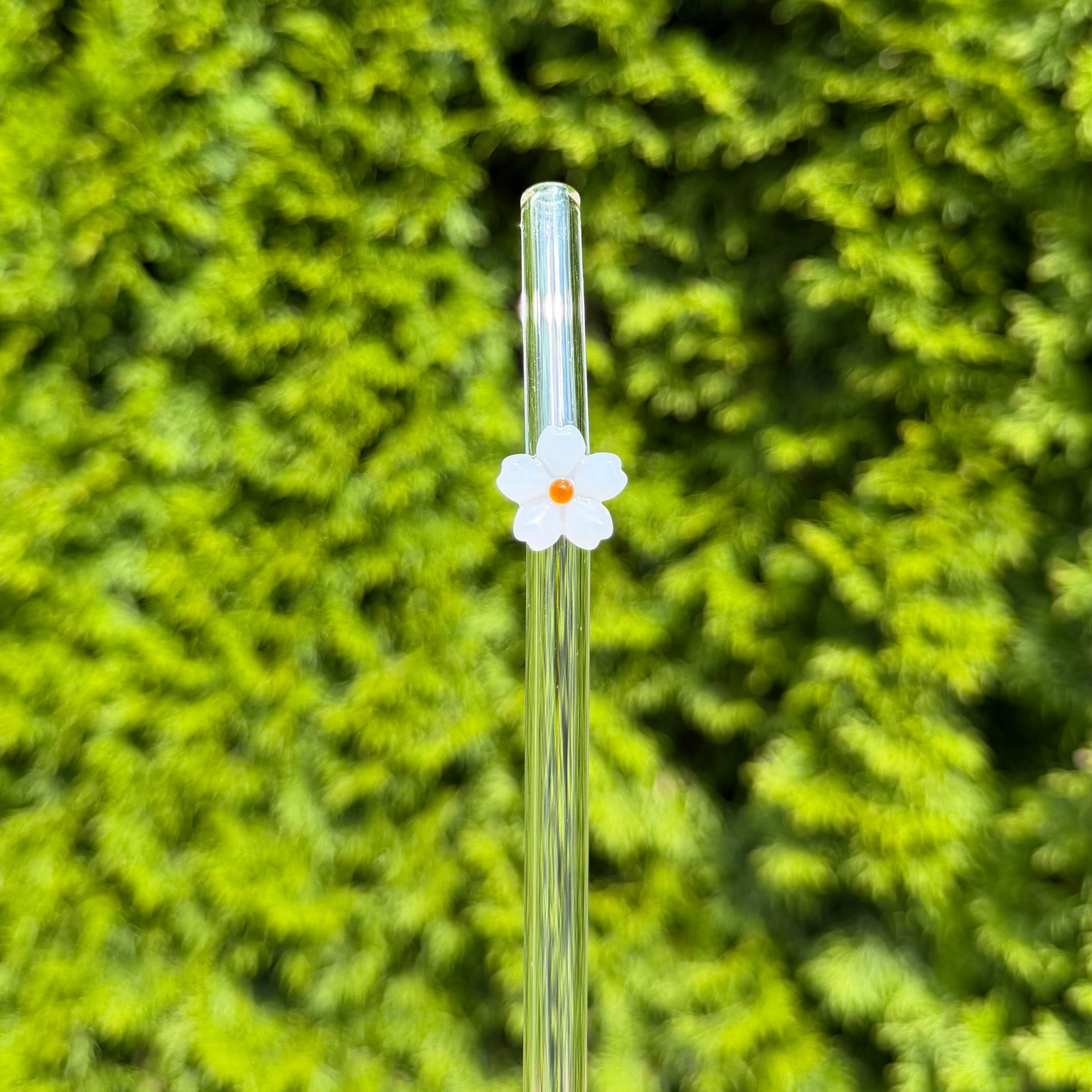 Glassugrör med blomma